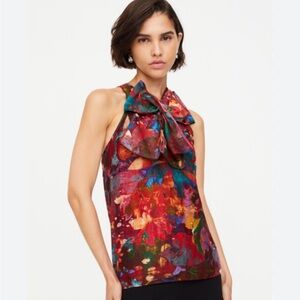 Marie Oliver Indira Top